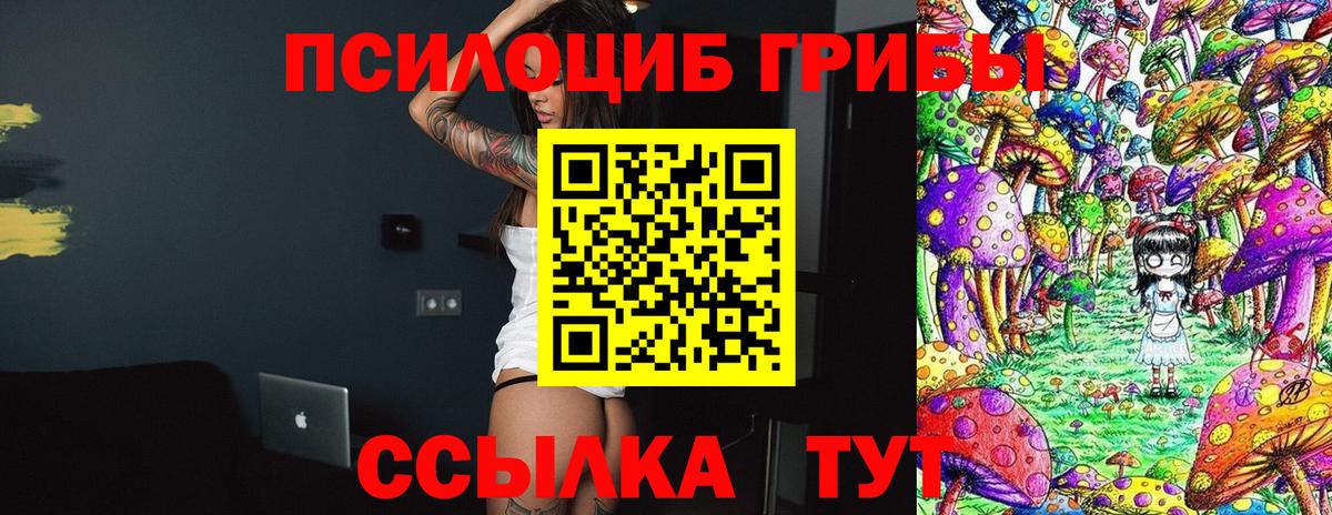 Галлюциногенные грибы прущие грибы Сафоново